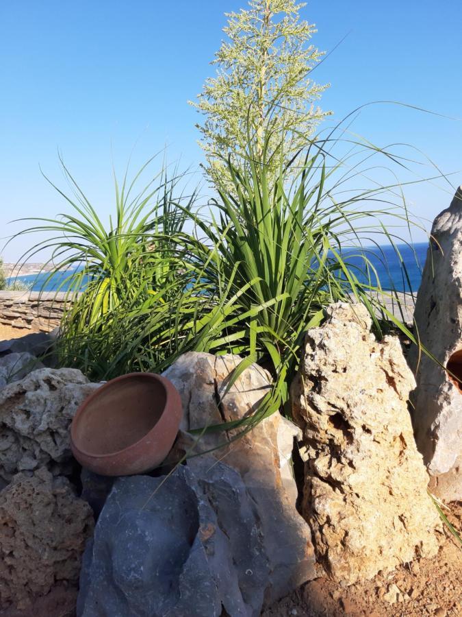 Breathtaking Sea View Flat In South Crete Apartment Keratokambos Bagian luar foto